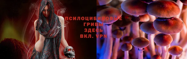 прущие крисы Краснотурьинск
