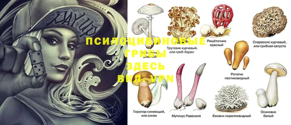прущая мука Кулебаки