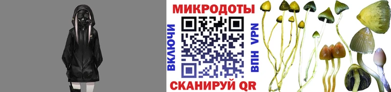 Псилоцибиновые грибы Magic Shrooms  Купить  Бобров 